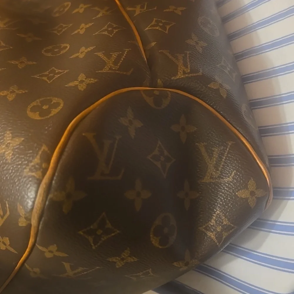 Louis Vuitton Monogram Delightful Bag in Brown and Tan Leather - Picture 9 of 14